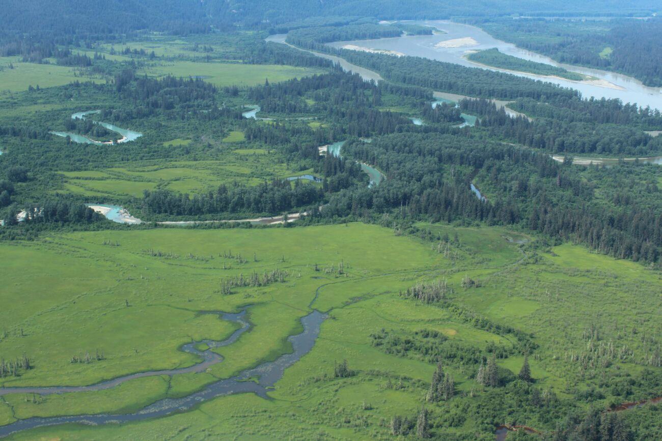 Wrangell wades into local impacts of Supreme Court s wetlands ruling KSTK